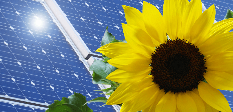 difference entre duree de vie et garantie d'une installation solaire
